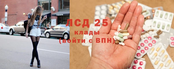 дмт Сатка