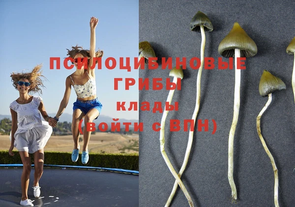 мяу мяу мука Саяногорск
