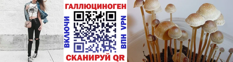 Псилоцибиновые грибы мицелий  Агидель 
